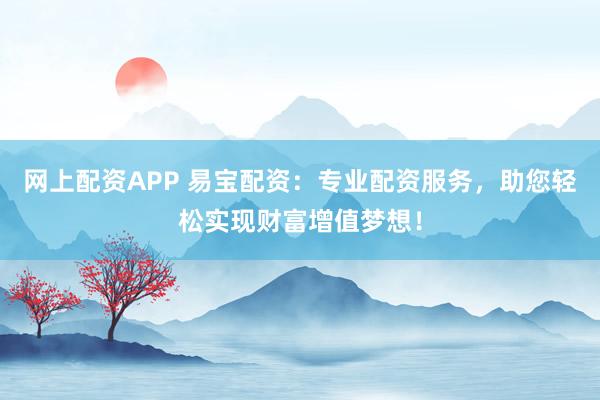 网上配资APP 易宝配资：专业配资服务，助您轻松实现财富增值梦想！
