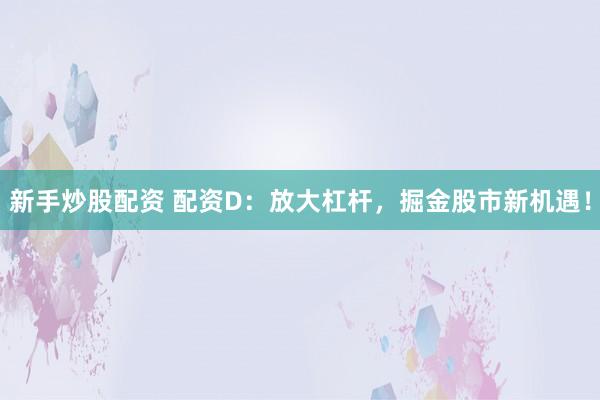 新手炒股配资 配资D：放大杠杆，掘金股市新机遇！