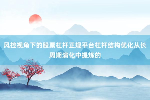风控视角下的股票杠杆正规平台杠杆结构优化从长周期演化中提炼的