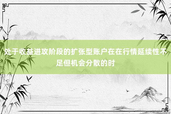 处于收益进攻阶段的扩张型账户在在行情延续性不足但机会分散的时