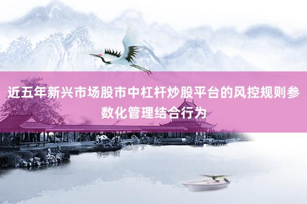 近五年新兴市场股市中杠杆炒股平台的风控规则参数化管理结合行为