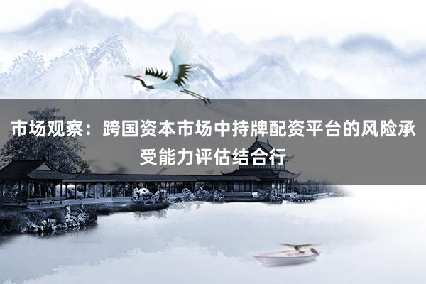 市场观察：跨国资本市场中持牌配资平台的风险承受能力评估结合行